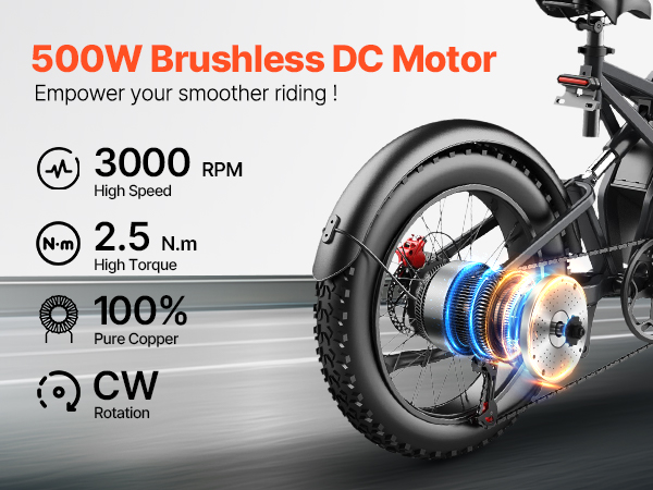 Vélo électrique brushless indexé hub motor 36 v 48 v 500 w vélo Vélo électrique brushless indexé hub motor 36 v 48 v 500 w vélo