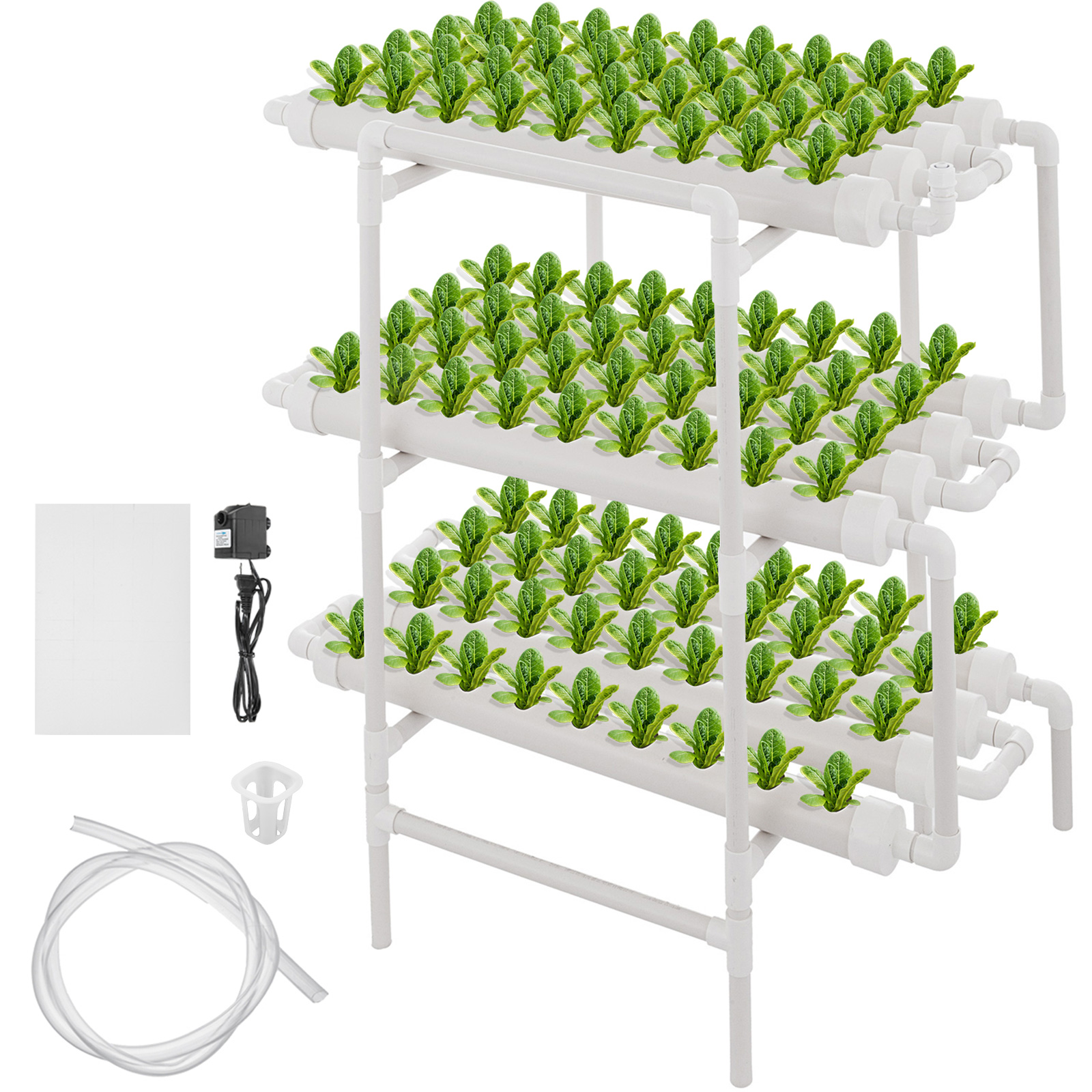 Hydroponic Salad box - (Tue-sat Subscription Free delivery)