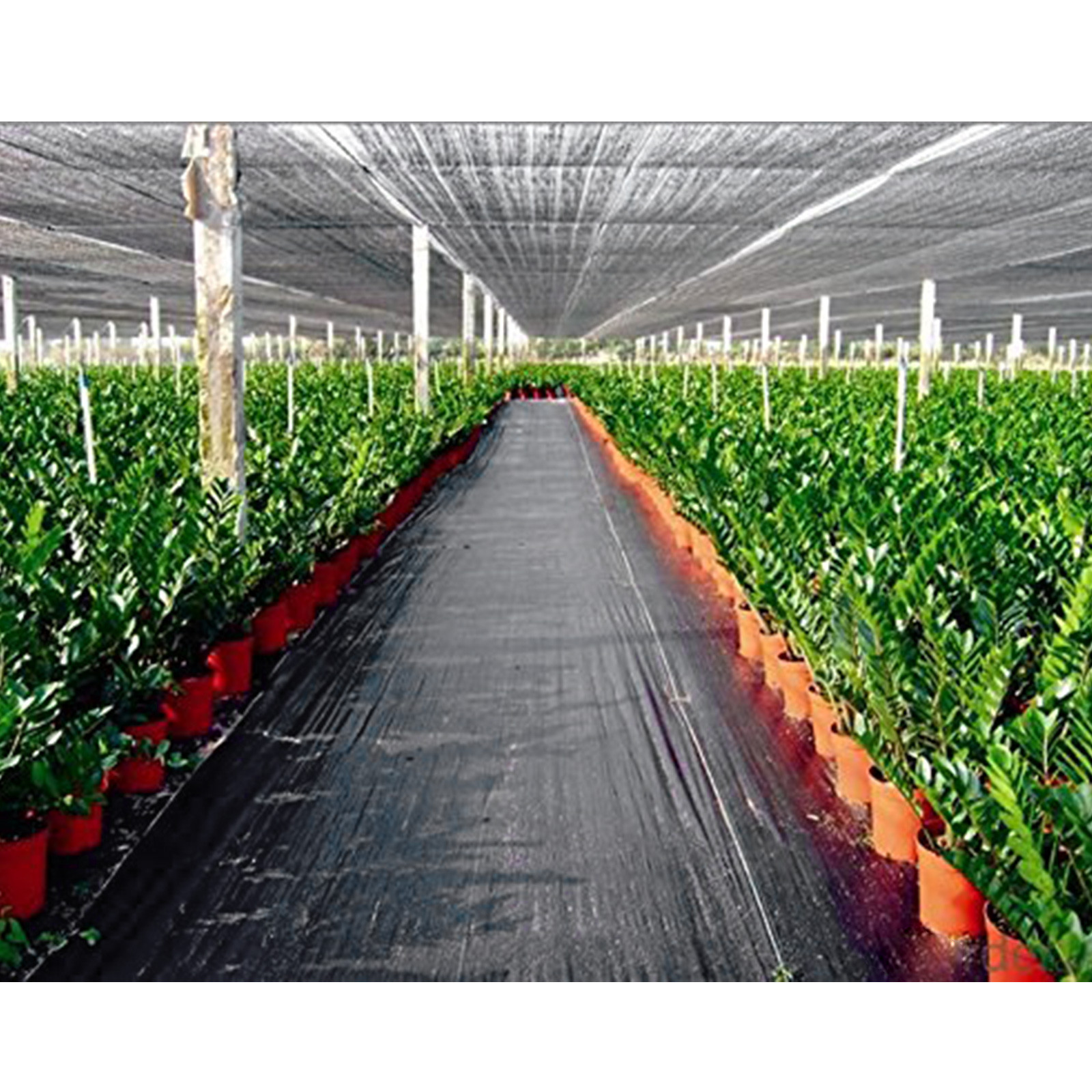 Woven Ground Cover Landscape Fabric Heavy PP Weed Barrier Garden Mat - Picture 10 of 95