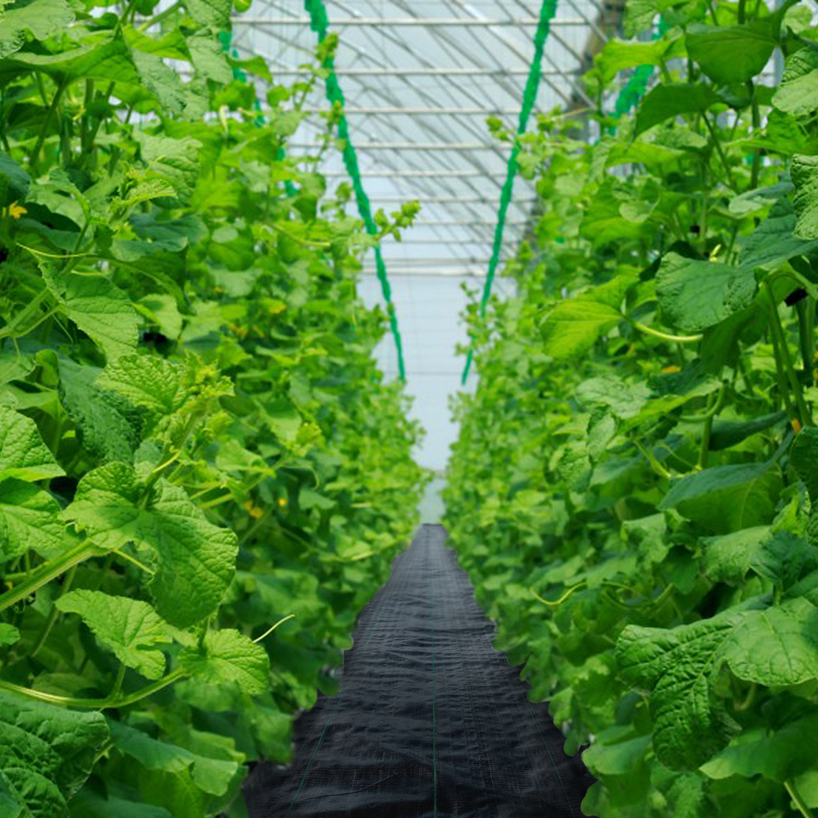 6x300 3x300 Weed Barrier Fabric Woven Ground Weed Cover 3.2 OZ Landscape - Picture 10 of 110